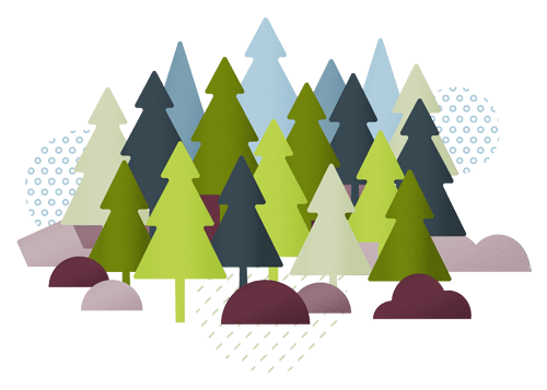 Illustration de sapins de Taintrux